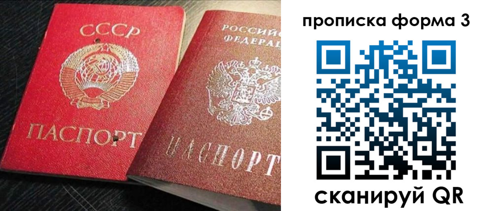 временная регистрация поиск в Миассе